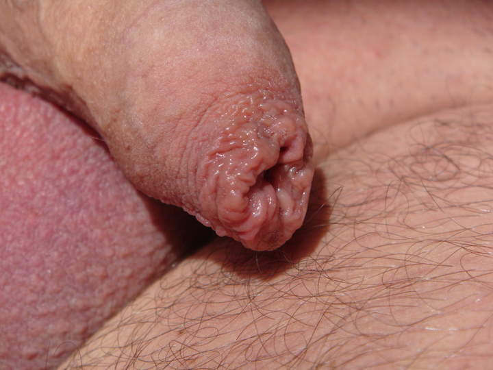 Photo of a joystick from sivad666