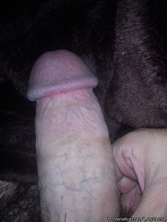 Photo of a bald-headed mouse from Montanabrazzez
