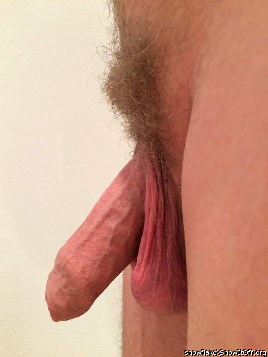 Great looking cock and balls, also love the bush 