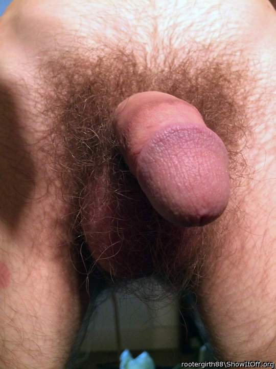 Can't help what a dickhead I am
