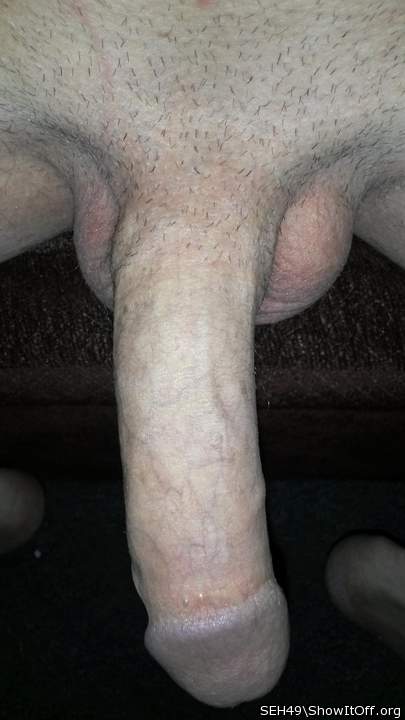 Photo of a snake from SEH49