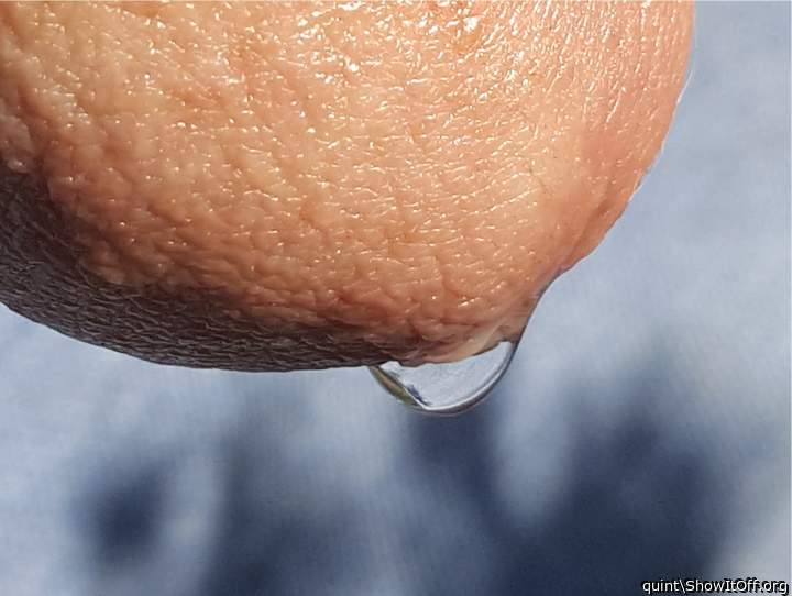 Photo of a dick from quint