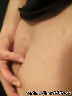 Photo of a penile from cardinal