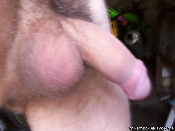 Photo of a cock from mikemack