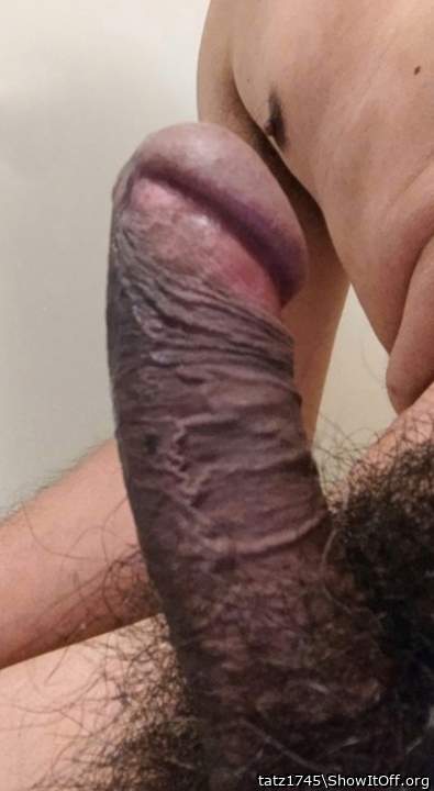 Photo of a boner from tatz1745