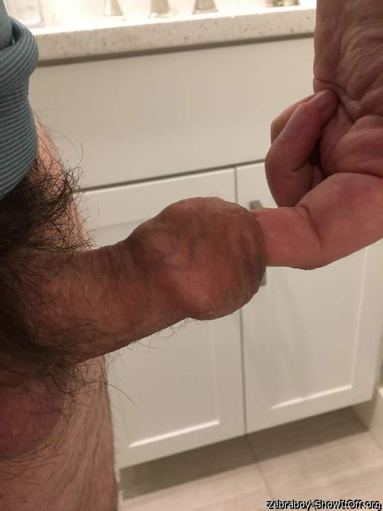 Photo of a weasel from zebraboy