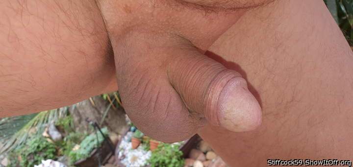 OUTSIDE IN THE GARDEN