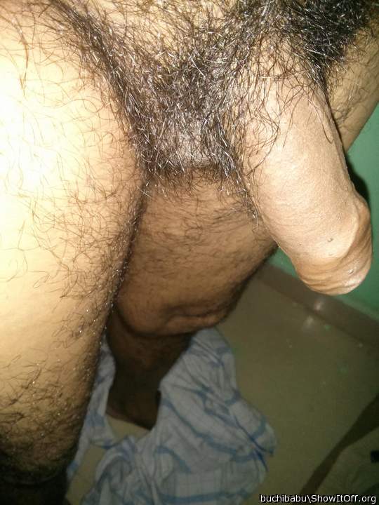 Photo of a snake from pavan