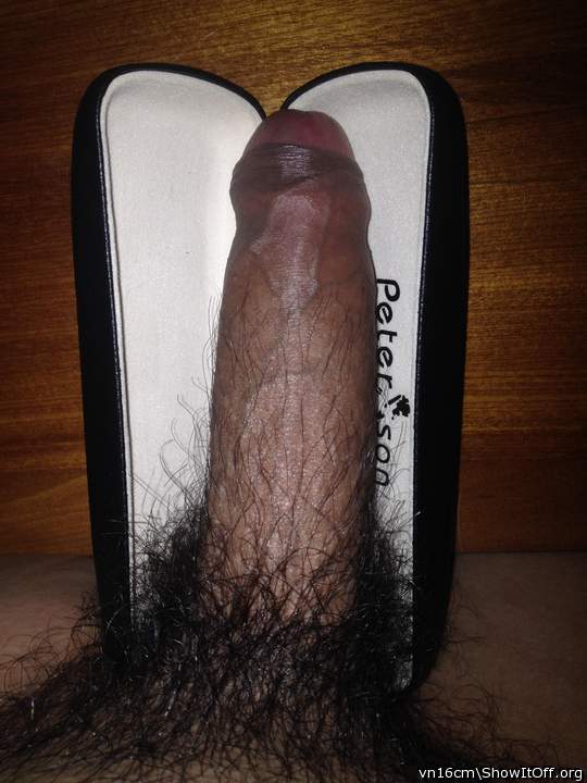 Photo of a ram rod from vn16cm