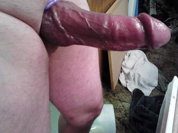 Photo of a ram rod from fish4free