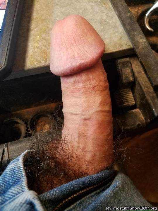 Photo of a middle leg from Mylimastuff