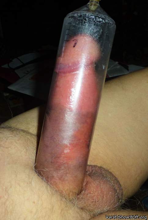 Photo of a weasel from karst