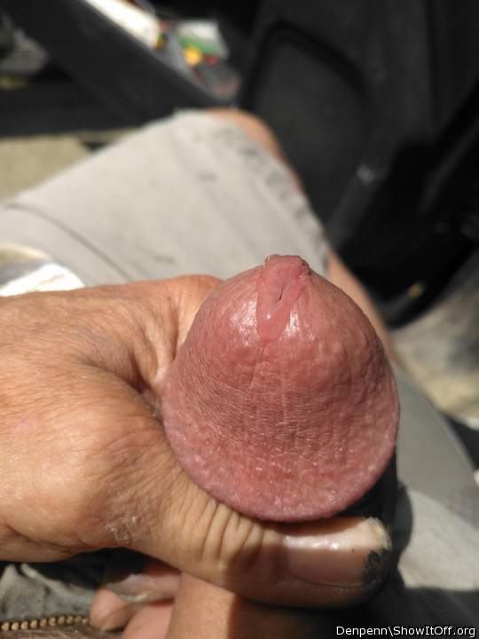 Photo of a member from Denpenn