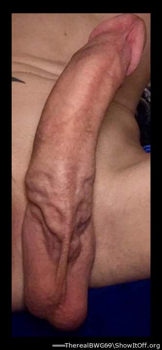 Photo of a wiener from TherealBWC69