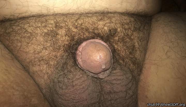 Photo of a bat from chub39