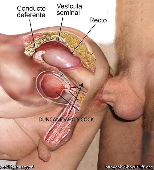Go on...stick it in then while my hole is still open and sla