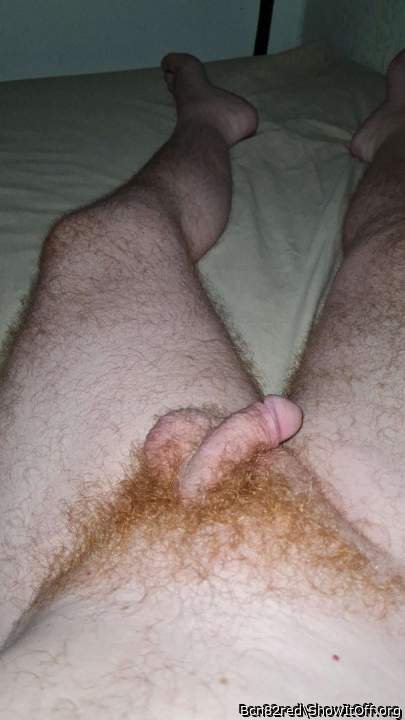 Hairy softy one