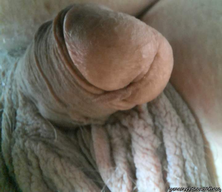 Cummy Hole