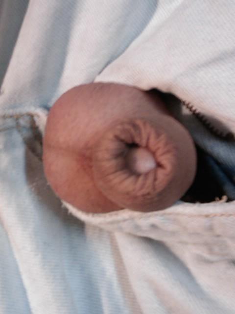 Photo of a pecker from yardog319