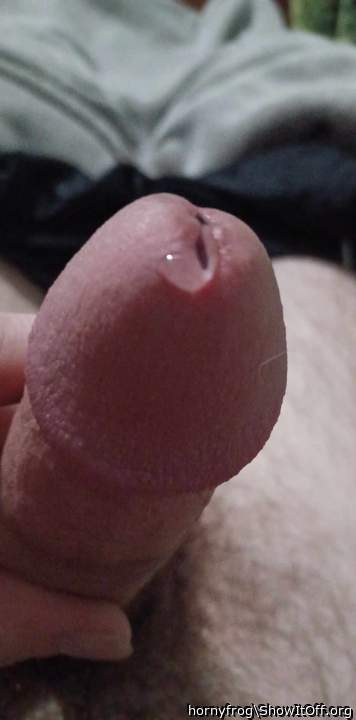 Photo of a purple headed monster from hornyfrog