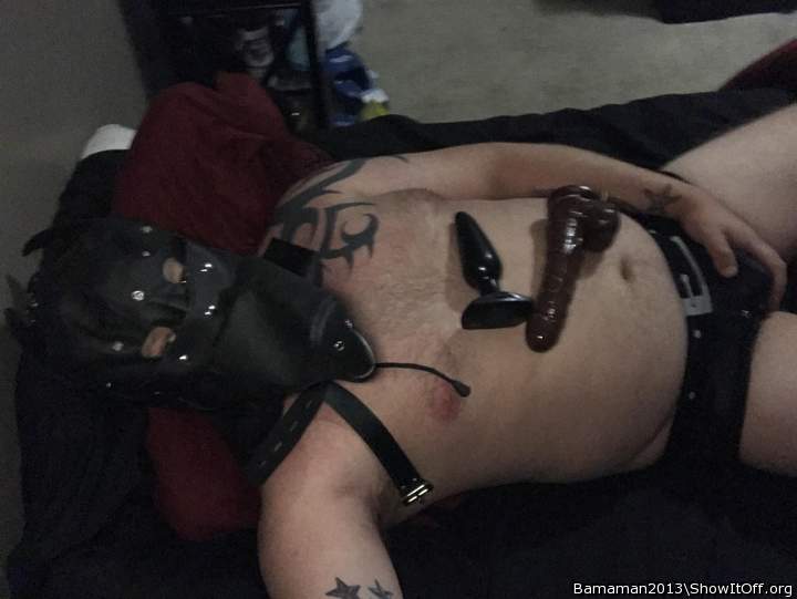 Adult image from Bamaman2013