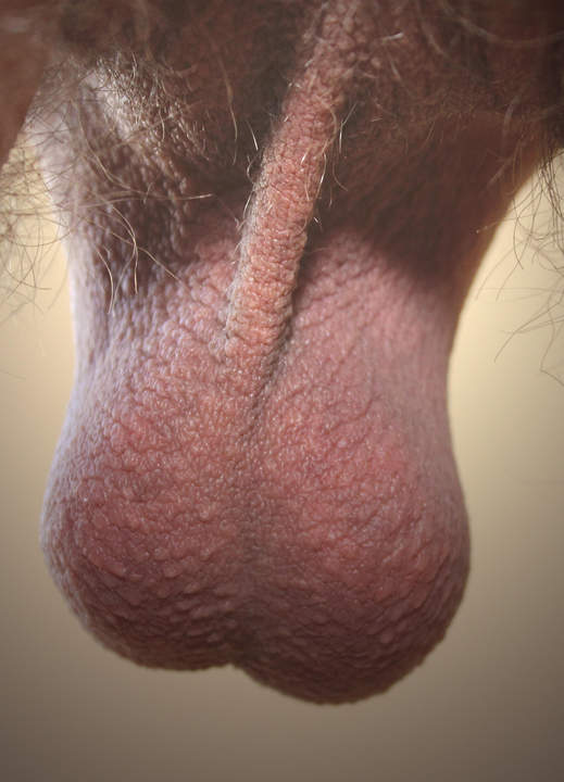 Freshly shaved balls!