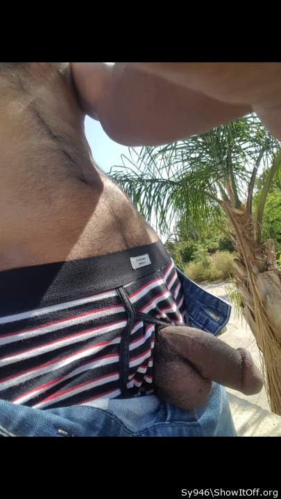 Photo of a penile from Sy946