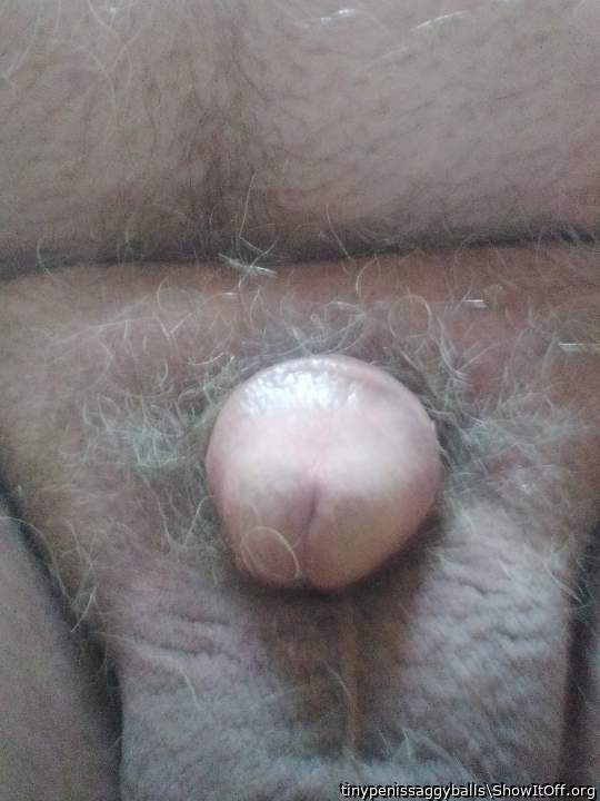 Photo of a bald-headed mouse from tinypenissaggyballs