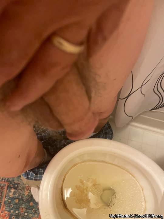 Photo of a lizard from Mylittledick