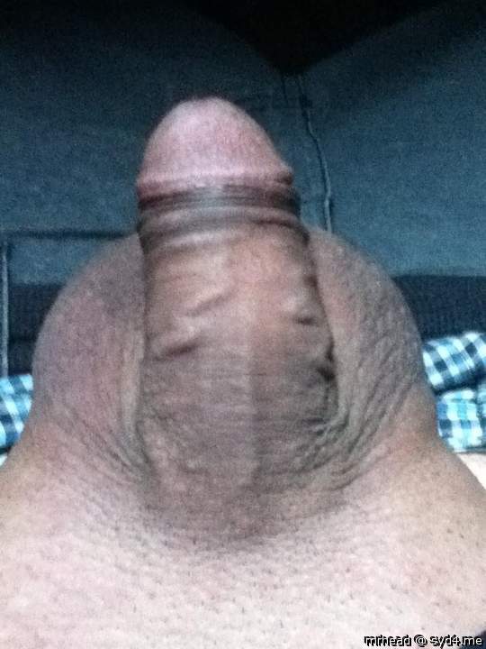 Photo of a pocket rocket from Mrhead
