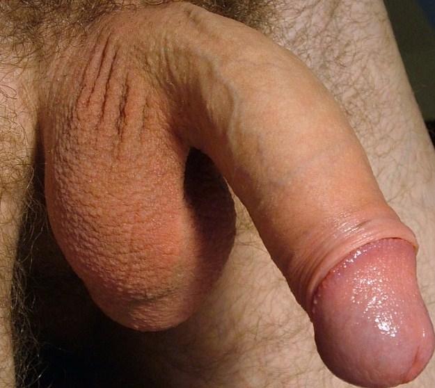 Photo of a wiener from vtbartje