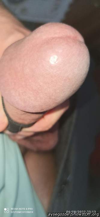 Photo of a pecker from aysegozde