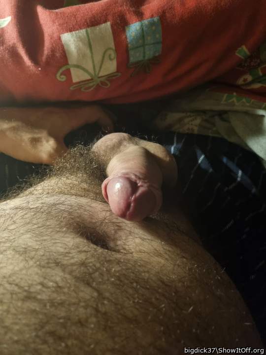 Photo of a horn from bigdick37
