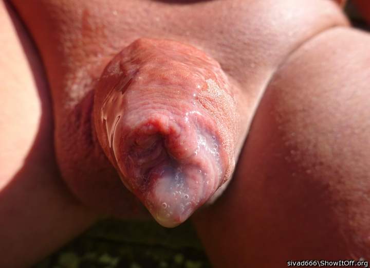 Photo of a third leg from sivad666