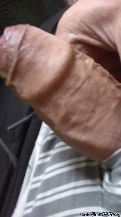 Photo of a dong from simo