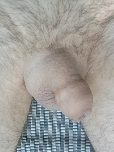 Photo of a thing from yardog319