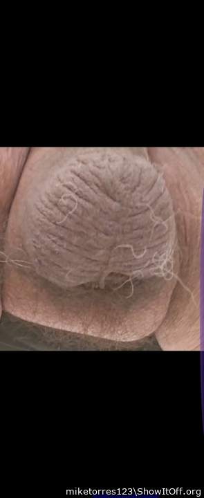 Testicles Photo from miketorres123