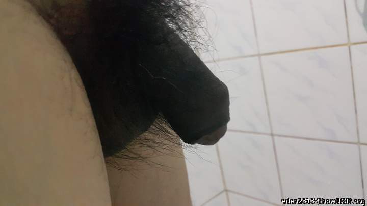 Photo of a penile from eden2313
