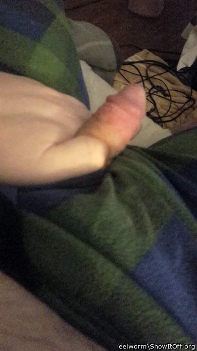 Photo of a meat stick from eelworm