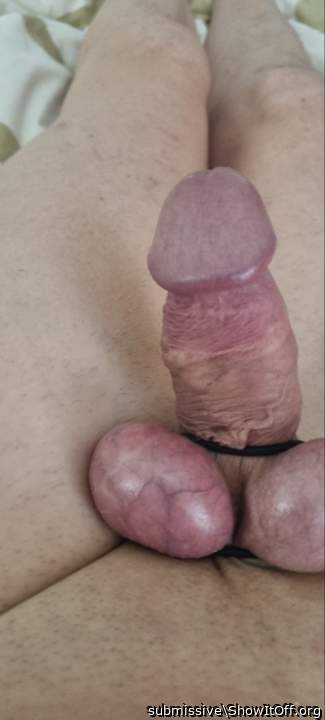 My cock and my tied balls