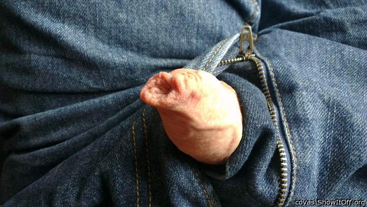 Photo of a rooster from covas