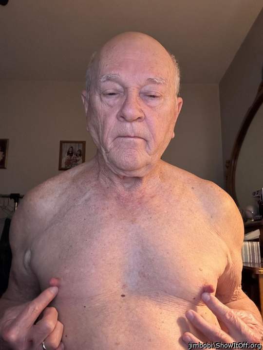 Photo of a bat from jimbobi