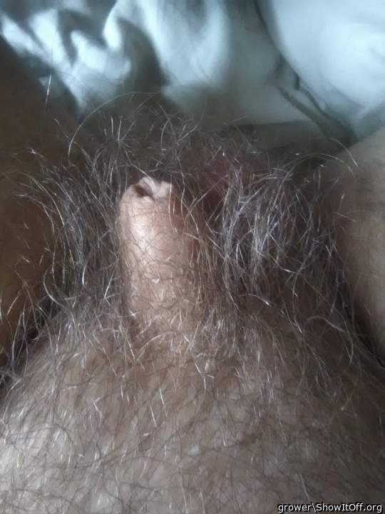 Lost in the bush, tiny little cock