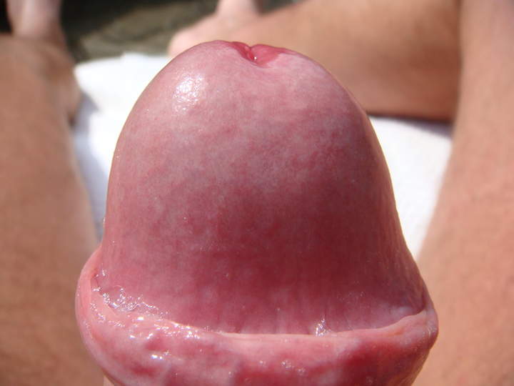 Photo of a wiener from sivad666