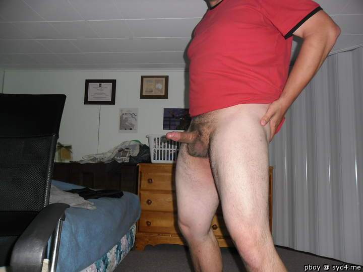 Photo of a cavalier from pboy