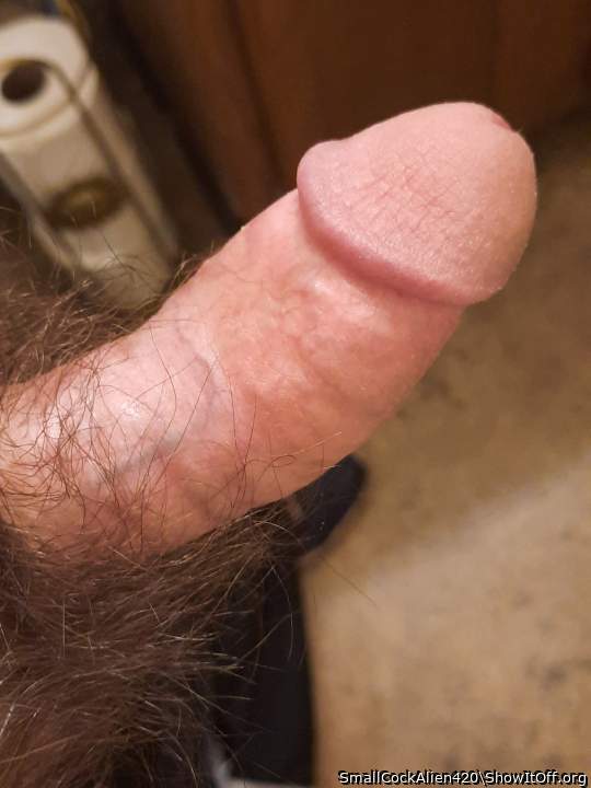 Photo of a bald-headed mouse from SmallCockAlien420