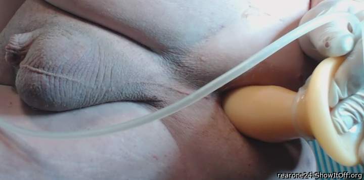Let me suck your balls while you do that.   