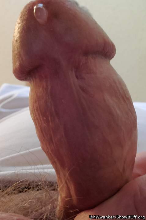 Photo of a power tool from BMWwanker