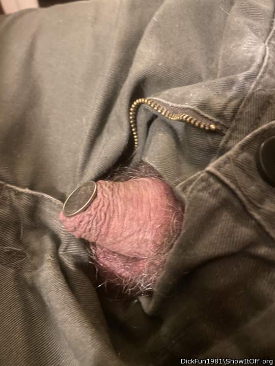 Photo of a weasel from DickFun1981