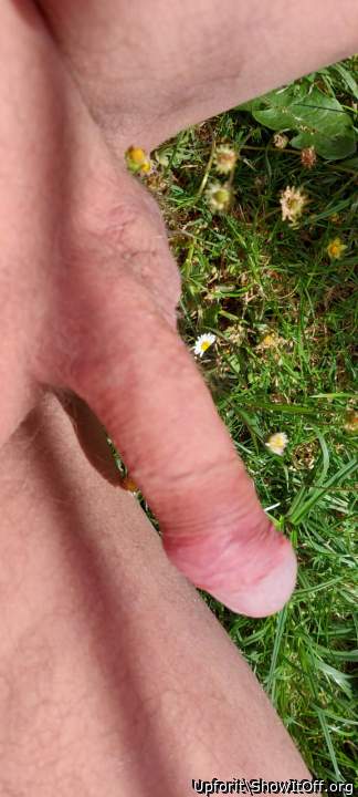 My cock